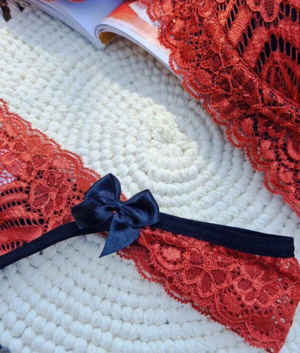 🌹 Conjunto de Renda e Microfibra – Catarina - Imagem 11